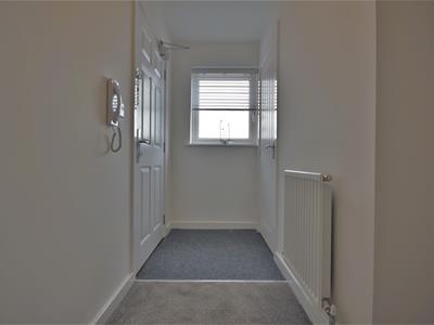 Picture 13